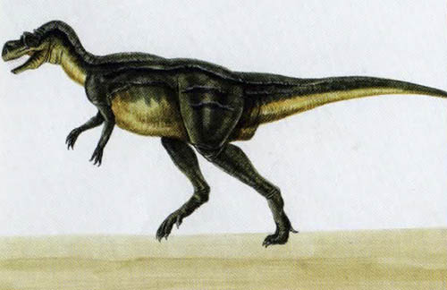 Альбертозавр